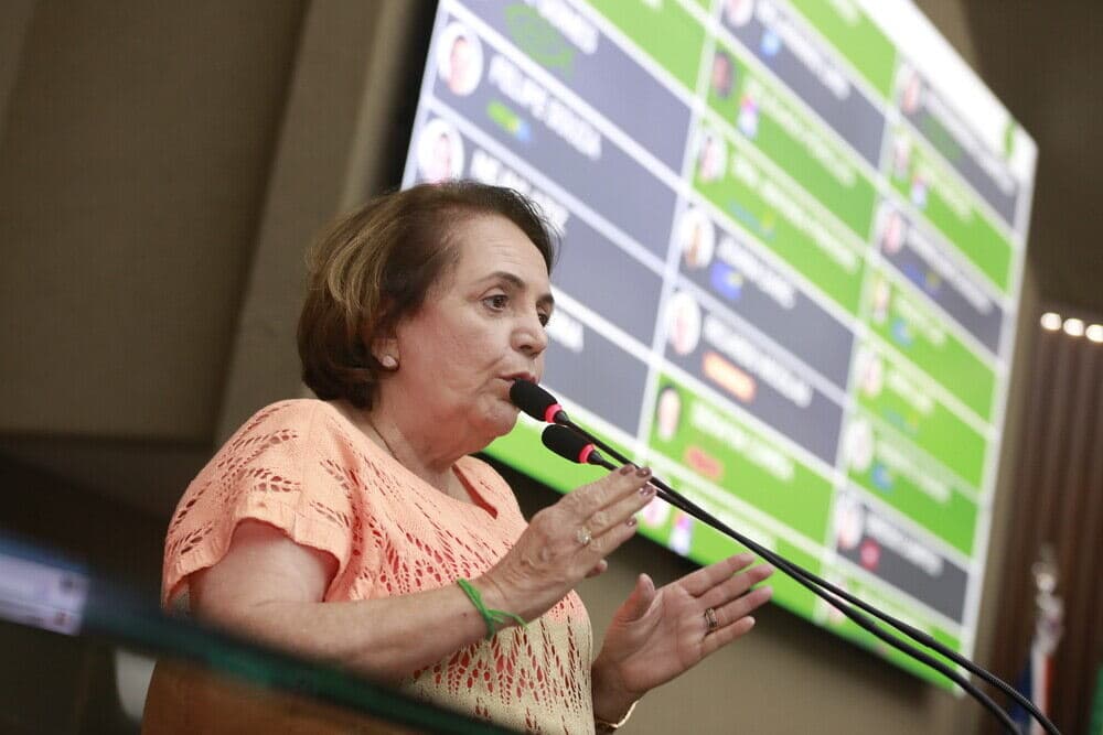 Deputados orientam sobre critérios para pagamento do Fundef