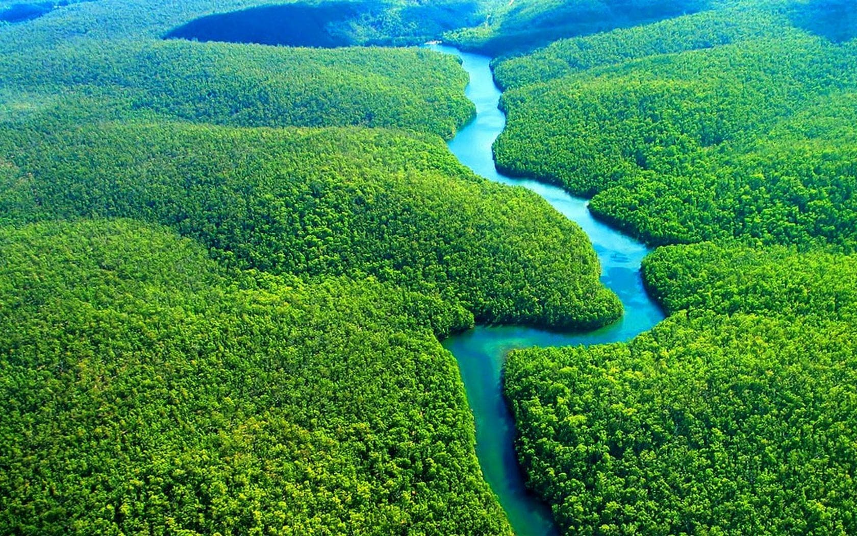 Obras, ensaios e poesias que explicam a Amazônia para quem quer conhecê-la