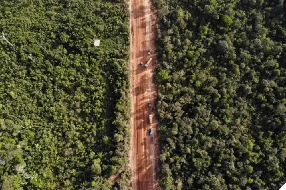Justiça federal suspende parcialmente licitação para obras na BR-319