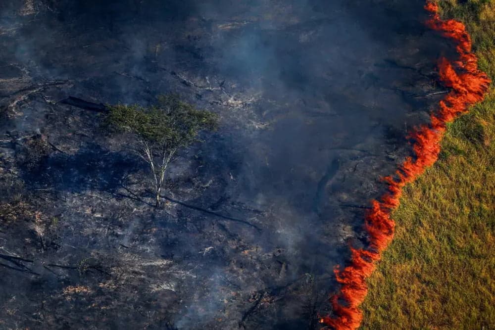 COP-27 traz debates sobre Amazônia, lembra João Luiz
