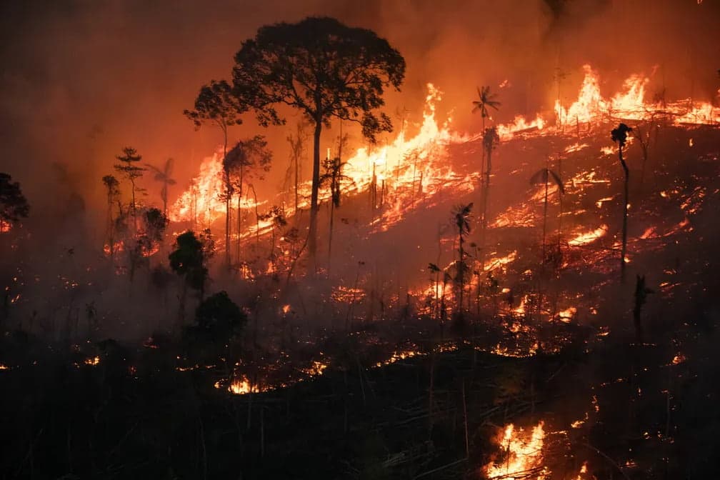 Total de queimadas no Amazonas em 2022 já supera o de 2021
