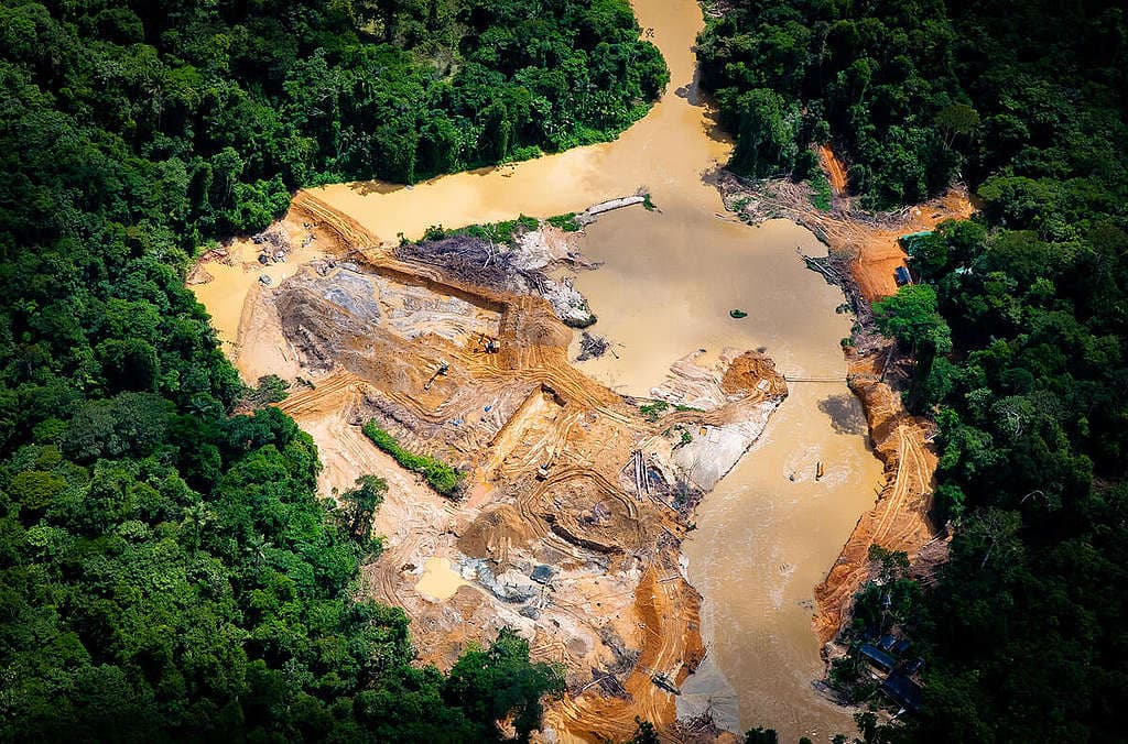PF destrói 200 acampamentos de garimpo ilegal em terra Yanomami