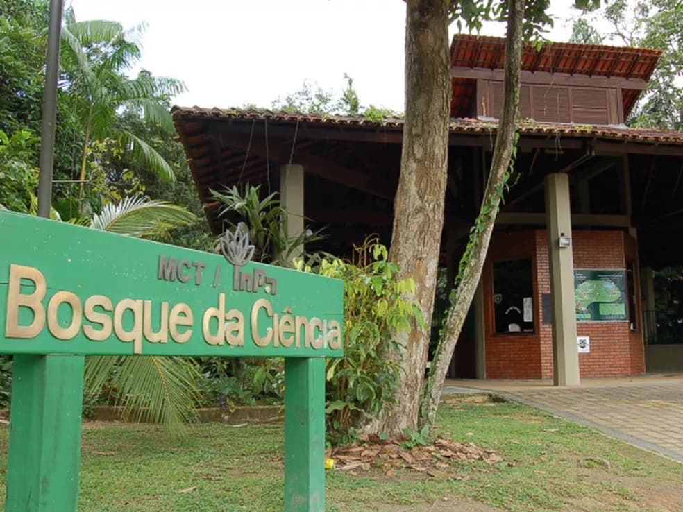 Bosque da Ciência abre inscrições para estágio
