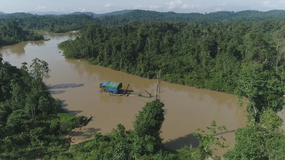 Ataque a tiros na Terra Yanomami deixa uma criança morta