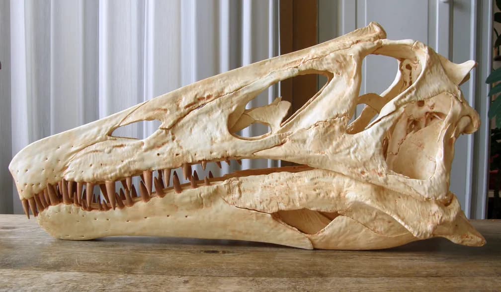 Cientistas pressionam Alemanha a devolver fóssil de dinossauro contrabandeado do Brasil