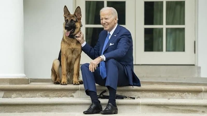 VÍDEO: Pastor Alemão de Biden é retirado da Casa Branca após morder agentes