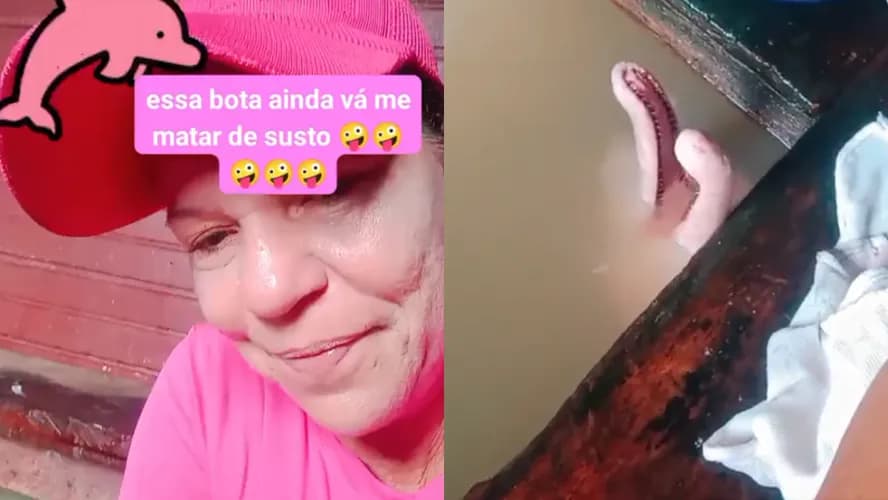 VÍDEO: Boto surge dentro de pia enquanto mulher lavava louça