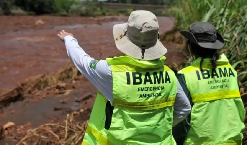 Servidores do Ibama e ICMBio suspendem greve em áreas essenciais após decisão do STJ