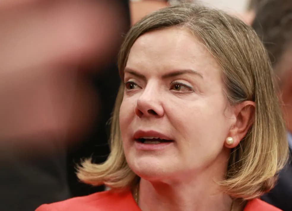 Gleisi Hoffman chama Flávio Bolsonaro de “ignorante” ao rebater fala sobre Maria da Penha