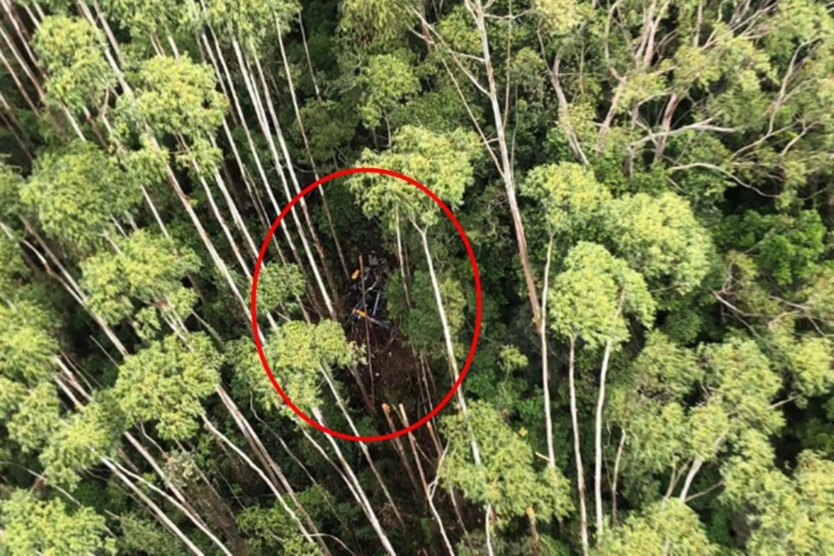 Helicóptero que caiu em SP colidiu com vegetação, diz Cenipa