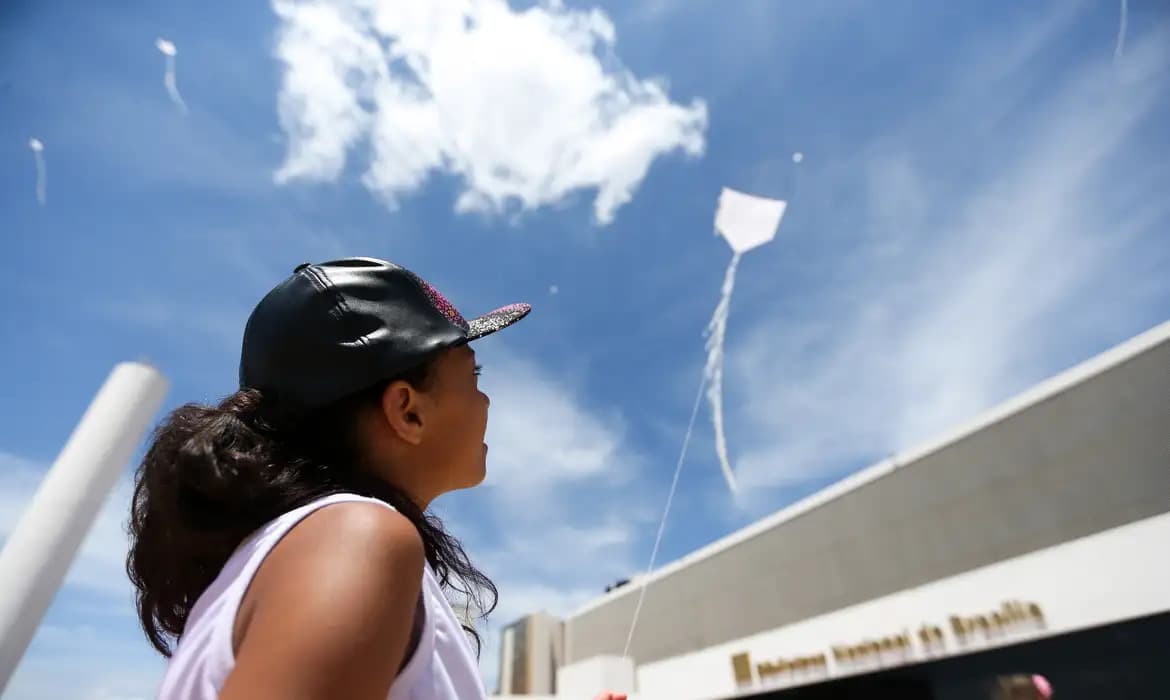 Câmara de Manaus institui o mês de abril para conscientização sobre uso seguro de pipas e antenas corta-cerol