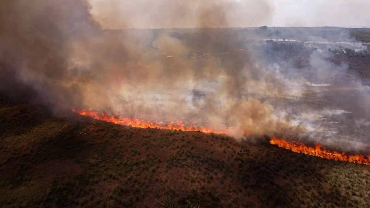 Secretário do Ministério do Meio Ambiente vê conotação politica em queimadas na Amazônia