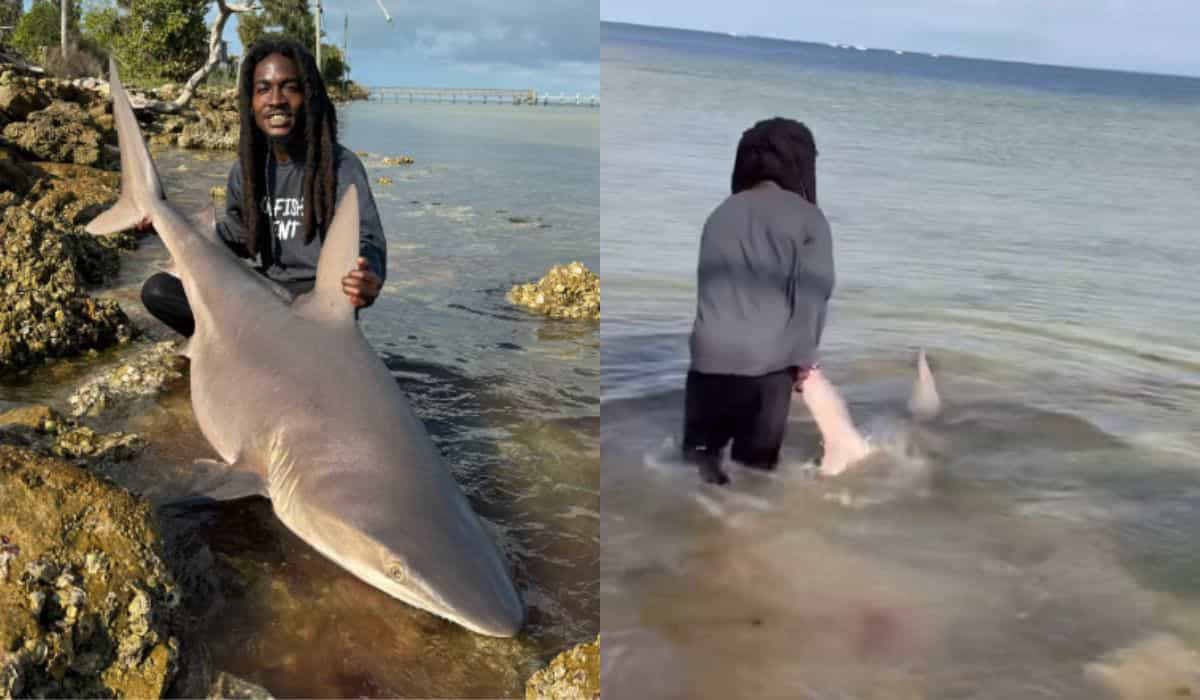 VÍDEO: Pescador viraliza ao capturar tubarão vivo com as próprias mãos