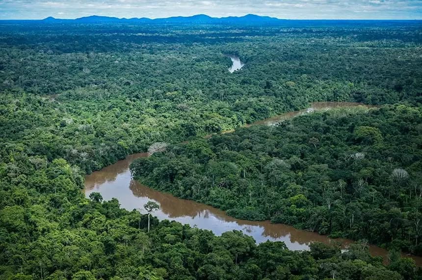 Desmatamento cai 62% na Amazônia e 12% no Brasil, aponta MapBiomas