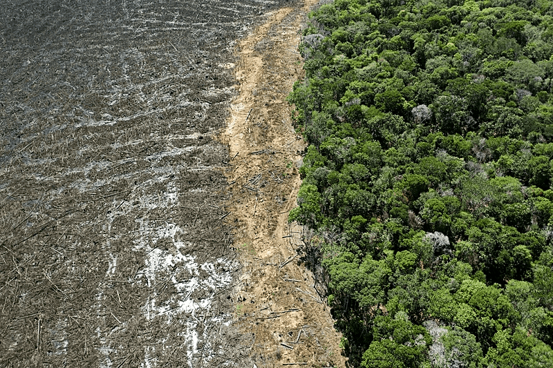 Amazônia tem menor desmatamento no primeiro bimestre em seis anos