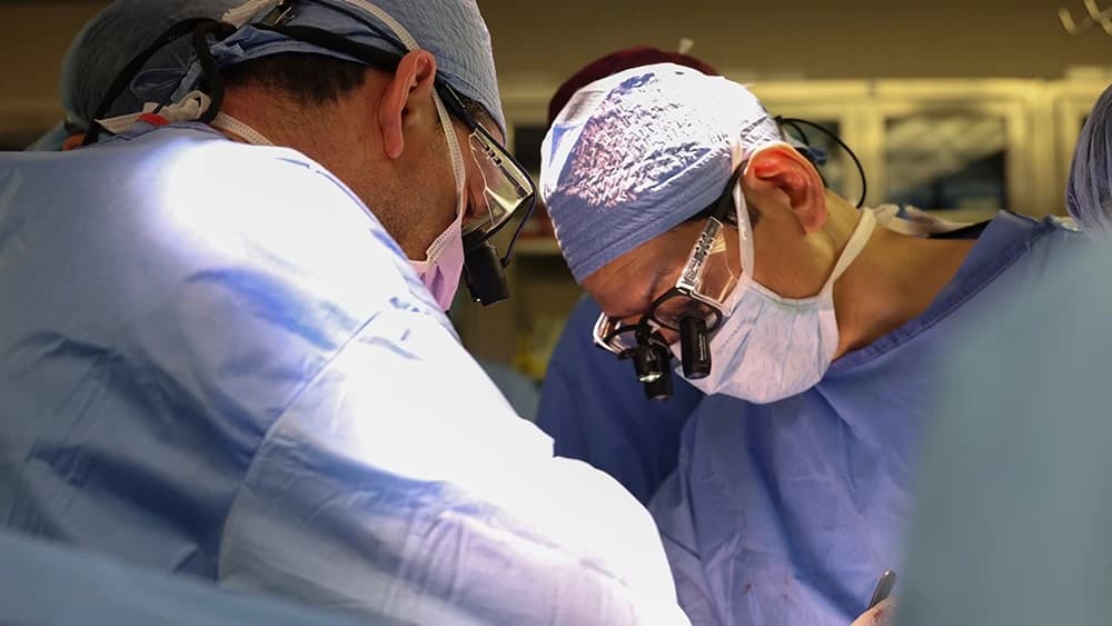 EUA aprova estudo clínico autorizando transplantes de rim de porco em humanos
