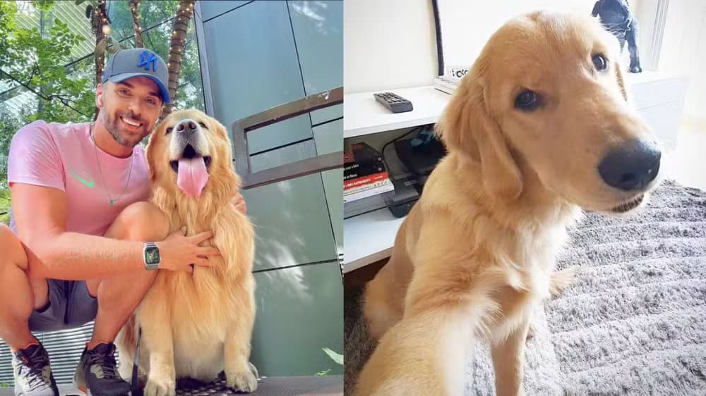 Ministério da Justiça pede esclarecimentos à Gol no caso da morte do cão Joca