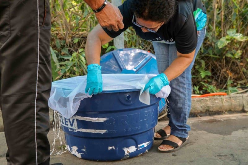 Amazonas registra mais de 28 mil casos de arboviroses no primeiro trimestre do ano, aponta FVS