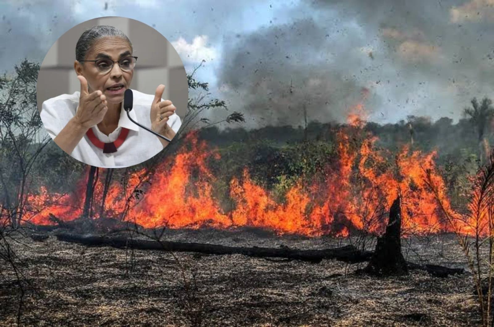 Governo proíbe “queimadas controladas” na Amazônia, Cerrado e Pantanal até o final do ano