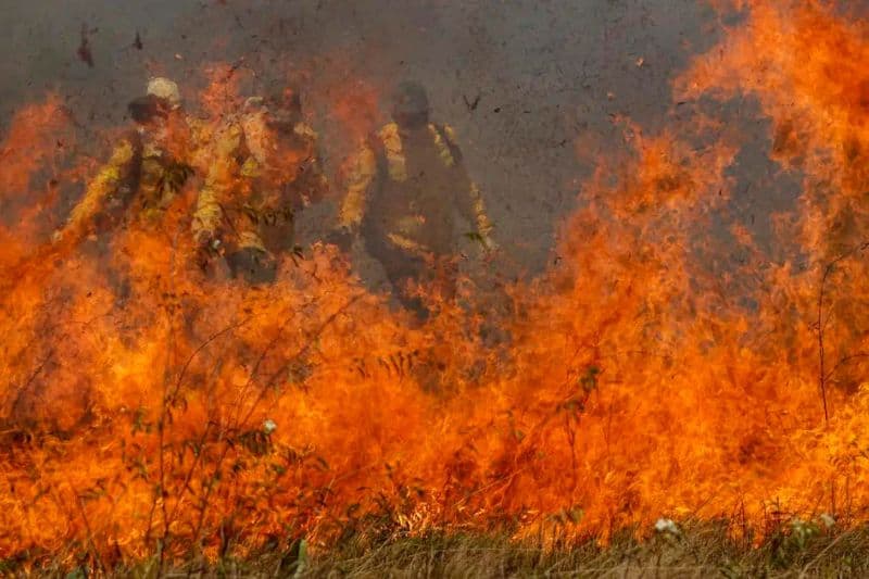 “Estamos diante de uma das piores situações já vistas”, diz Marina Silva sobre Pantanal