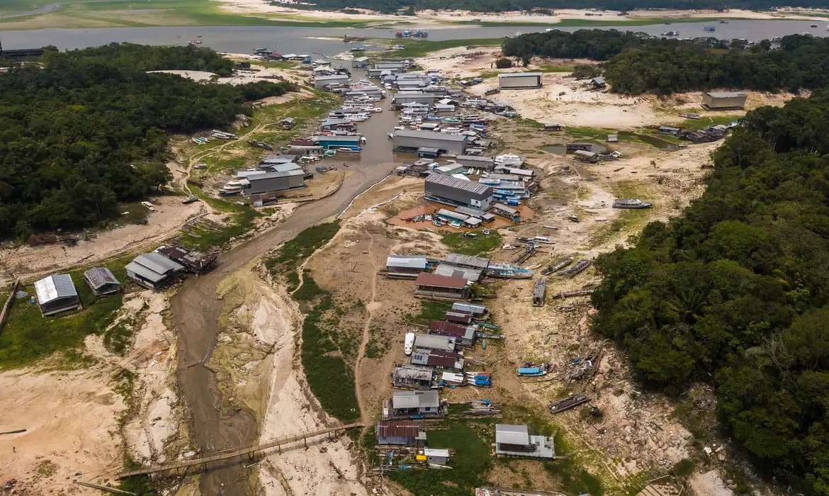 Especialistas alertam o Senado para os riscos do El Niño na Amazônia