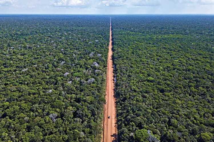 MPF aciona Justiça para barrar obras na BR-319 por falta de consulta a comunidades indígenas