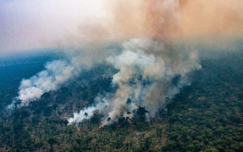 AM está entre os 8 estados com qualidade de ar ‘insalubre’, diz Companhia Ambiental de São Paulo