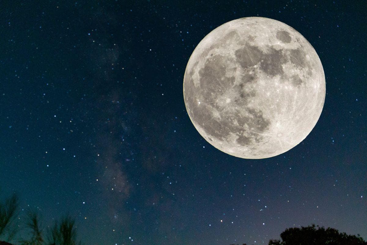 Cientistas planejam enviar “arca” para a lua com células de animais
