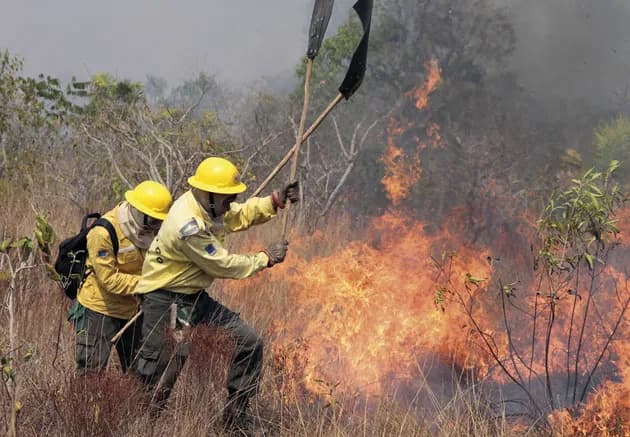 El Niño eleva risco de incêndio na Amazônia e outros biomas