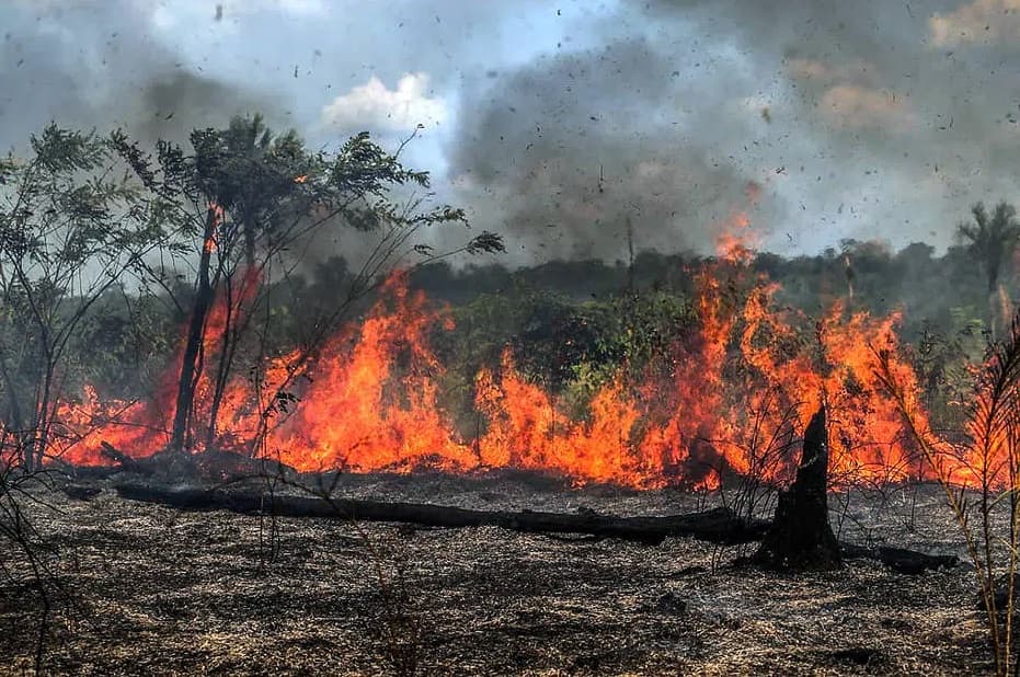 Ministro do STF cobra relatório de estados da Amazônia por alto registro de queimadas