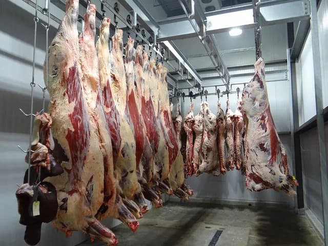 Justiça suspende interdição de matadouro em Humaitá
