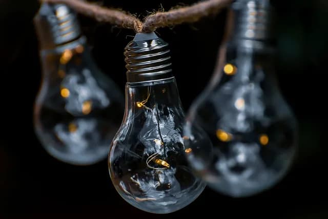Comunidade fica sem energia após queda de 22 postes na BR-319