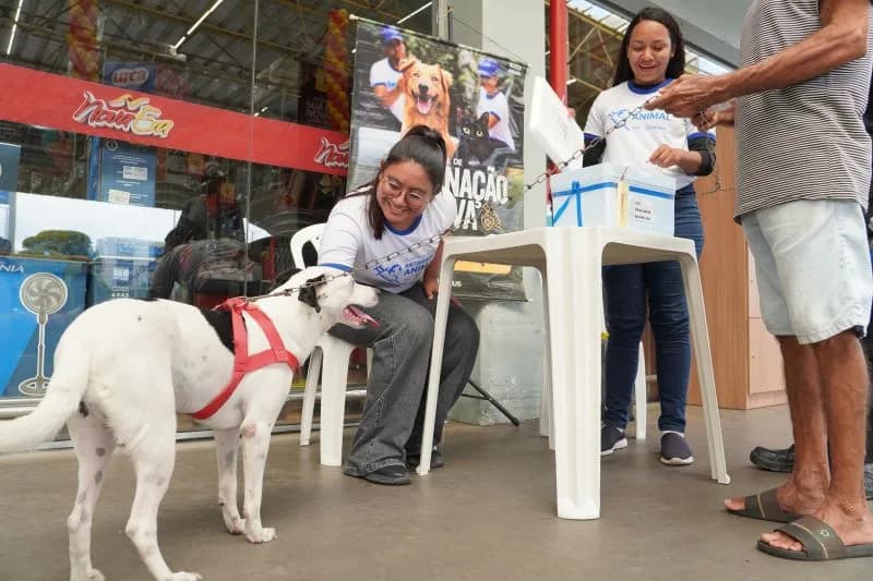 Vacinação antirrábica é retomada em 10 supermercados de Manaus