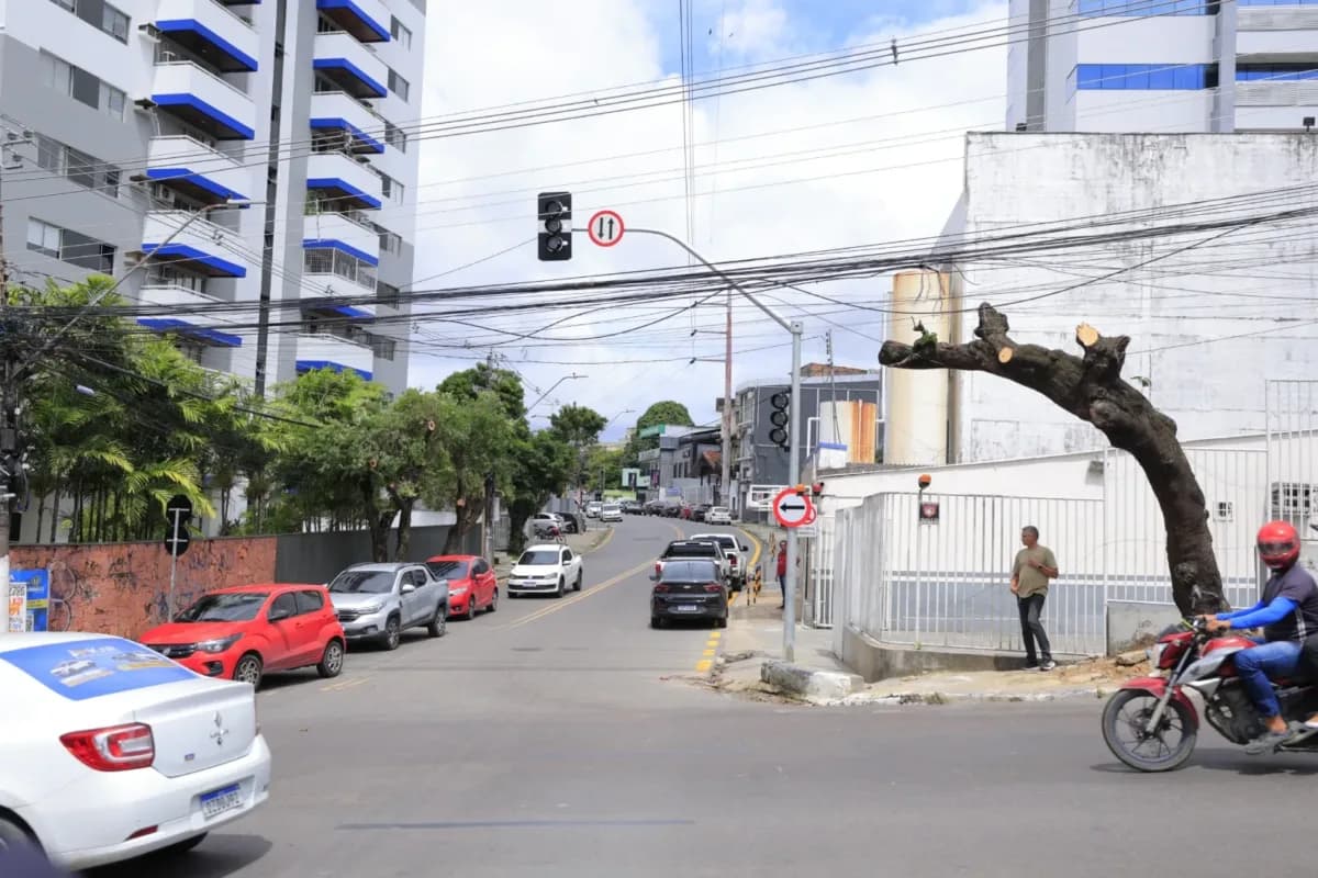 Semáforo na avenida Umberto Calderaro Filho começa a funcionar neste domingo