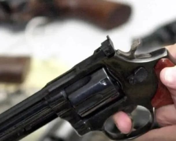 Comissão da Câmara aprova porte de arma para donos e membros de clubes de tiro