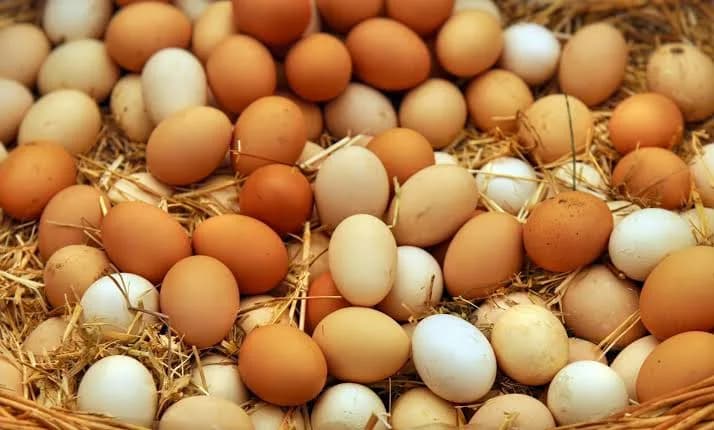 Com foco de gripe aviária no RS, Brasil destrói ovos fertilizados