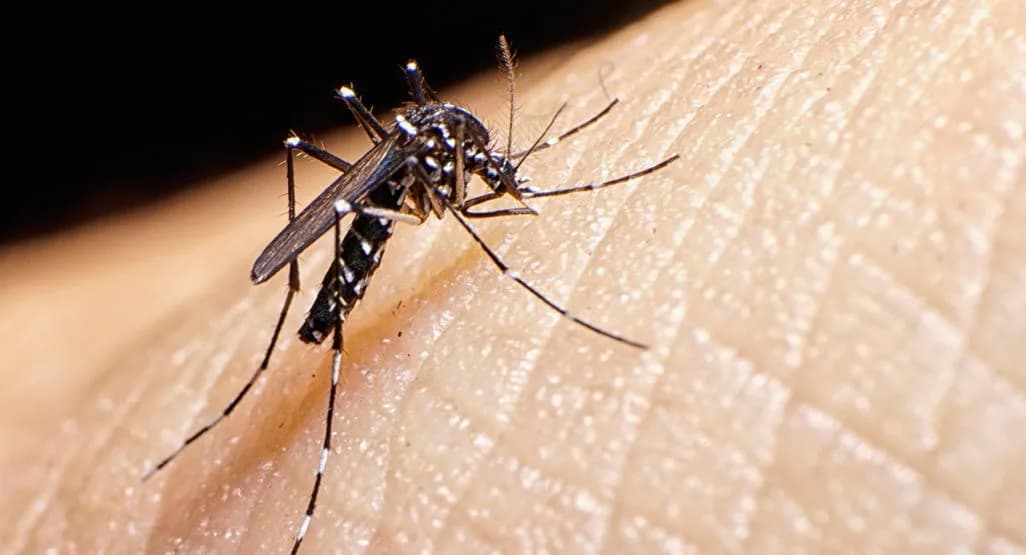 INSS vai pagar R$ 60 mil para crianças vítimas da Zika, até o fim de 2025