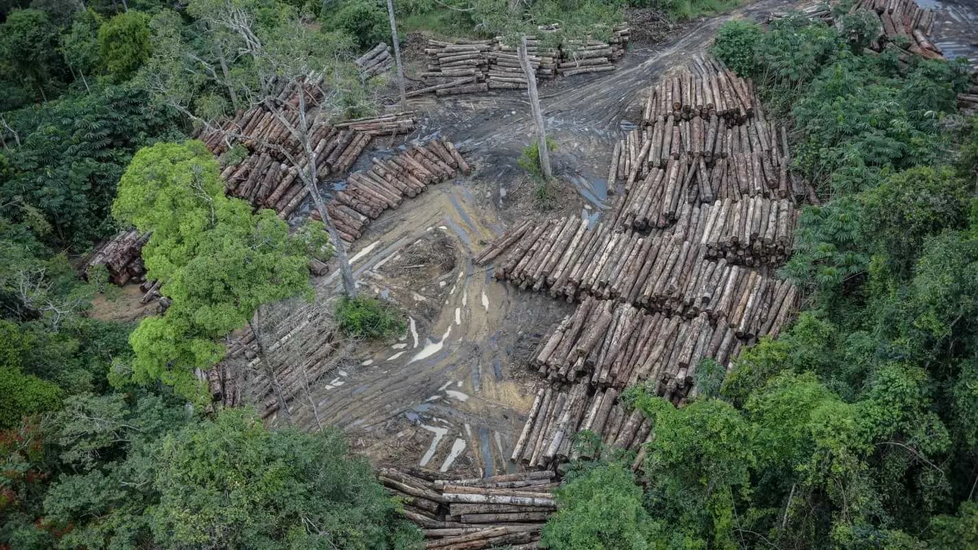 Desmatamento na Amazônia pode ficar mais difícil de fiscalizar