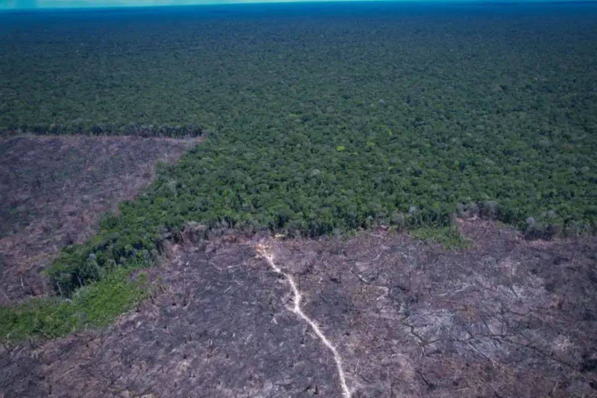 Lei do Licenciamento Ambiental entra em vigor sob questionamentos no STF
