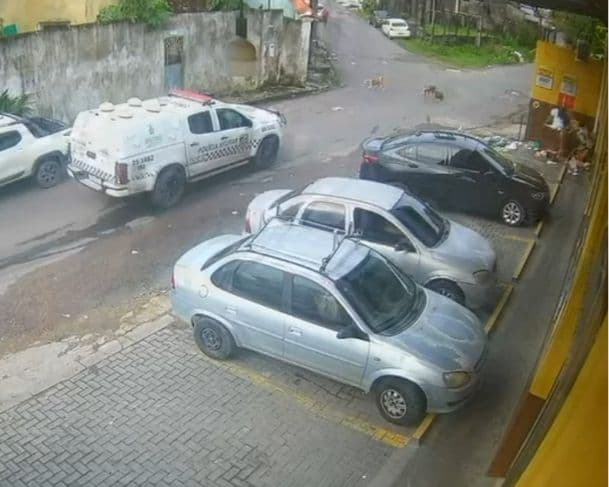 VÍDEO: Viatura da PM atropela e mata dois cachorros no bairro Novo Aleixo, em Manaus