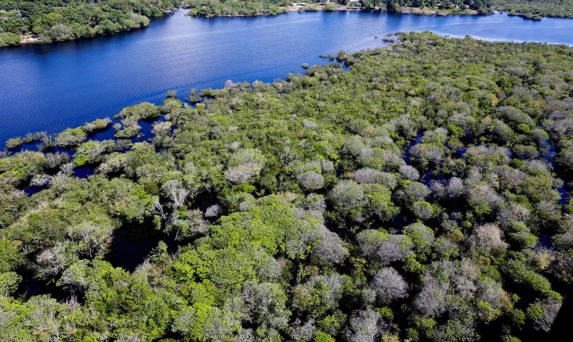 Governo abre inscrições para selecionar organizações no combate ao desmatamento na Amazônia
