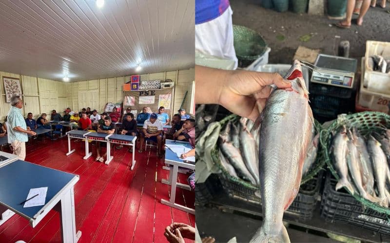 Pescadores do Careiro da Várzea definem preço do mapará a R$ 4 o quilo