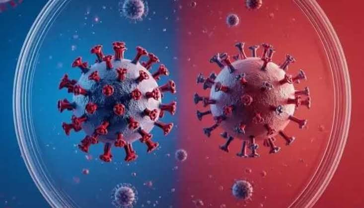 Hantavírus x Covid: entenda diferenças entre sintomas e transmissão