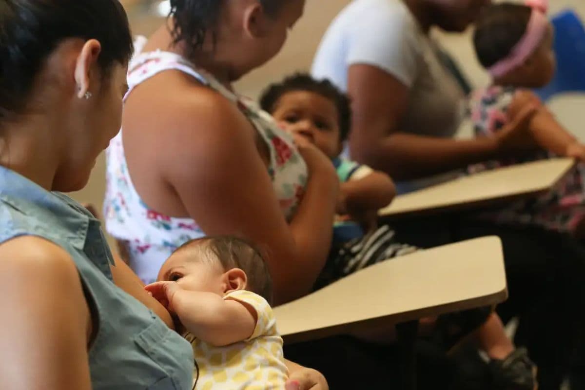 Estudo da Universidade Federal do Ceará aponta benefício do cuscuz na amamentação