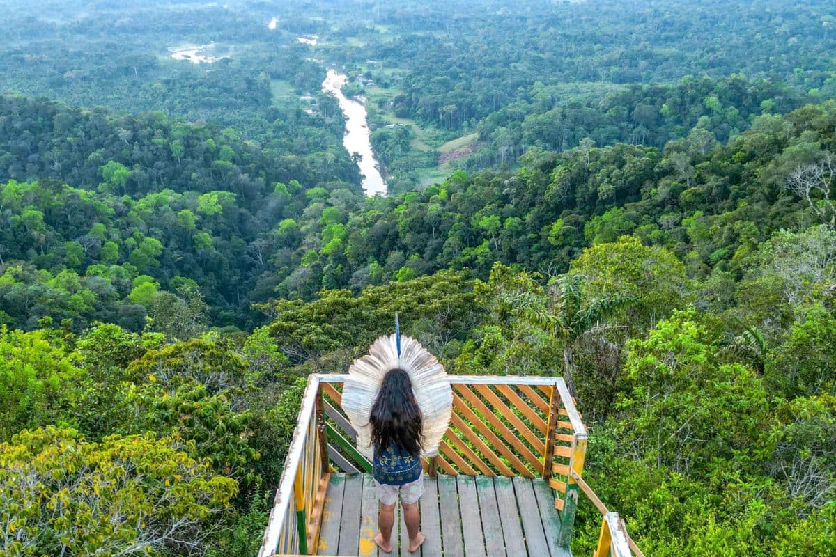 Amazonas é mais admirado no exterior do que pelos próprios brasileiros, aponta pesquisa