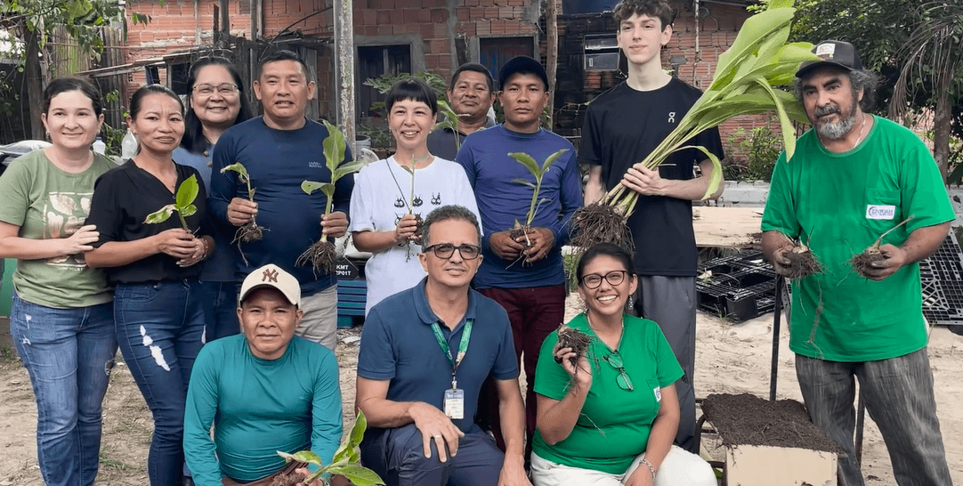 Ariá e cogumelos unem saber indígena, pesquisa científica e geração de renda