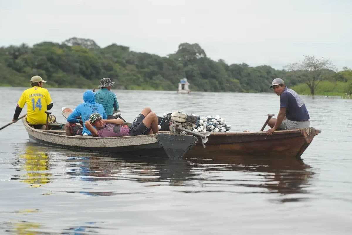 Projeto que prevê transporte fluvial gratuito durante eleições deve impactar o AM