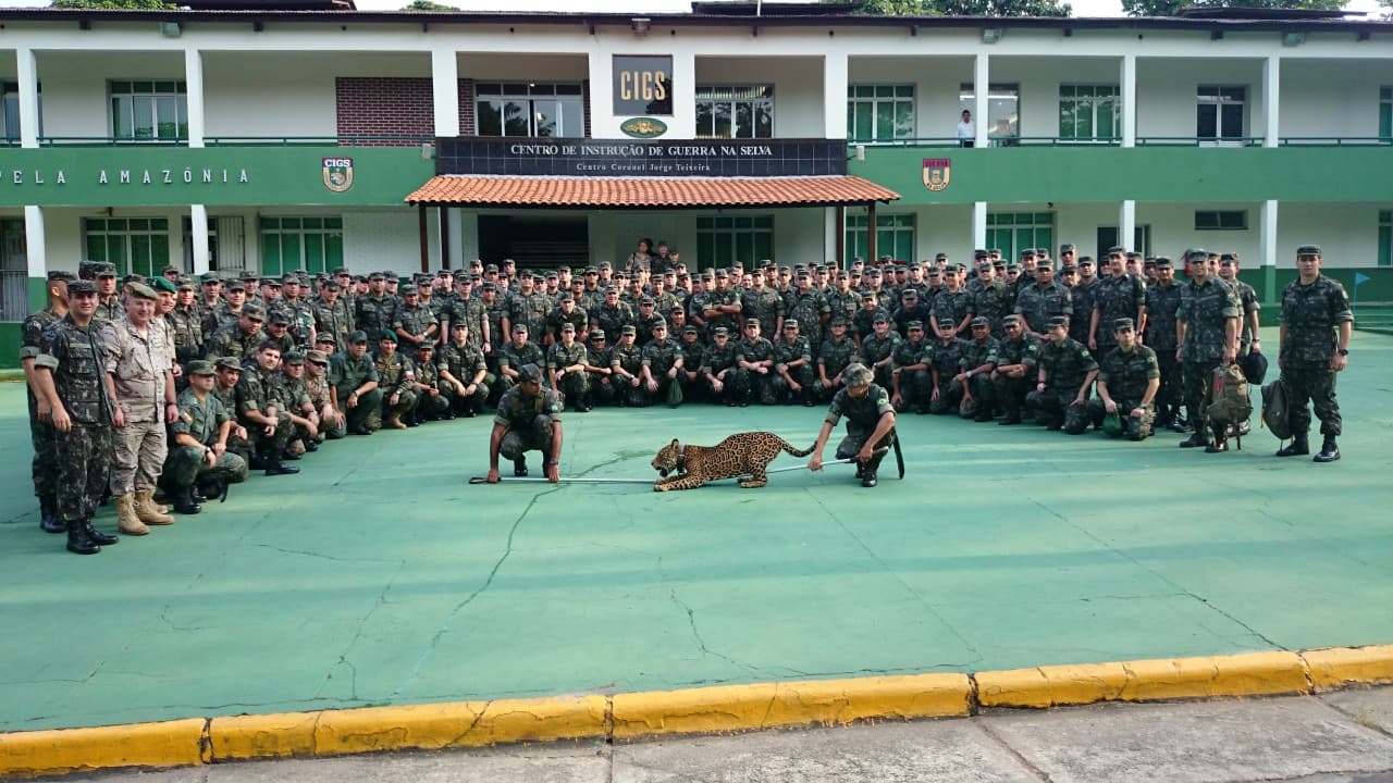 CIGS pode se tornar patrimônio cultural do Amazonas