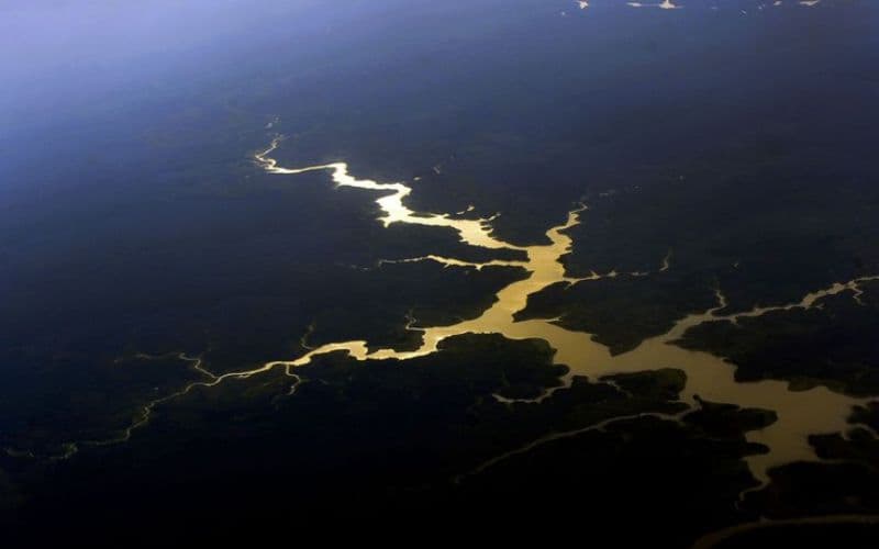 Amazônia concentra R$ 391 milhões em editais para ciência