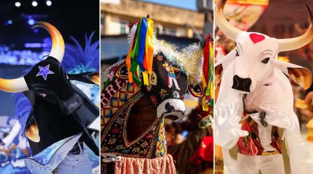 Bumba-meu-Boi e Boi-Bumbá: entenda as diferenças entre duas das maiores festas populares do Brasil